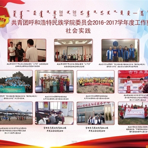 2017年度团委事情汇编