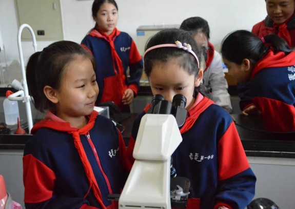 胜天堂际-胜天平台「成绩优美生涯」