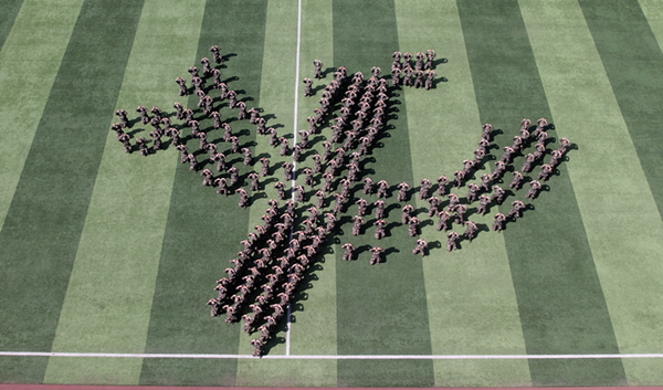 胜天堂际-胜天平台「成绩优美生涯」