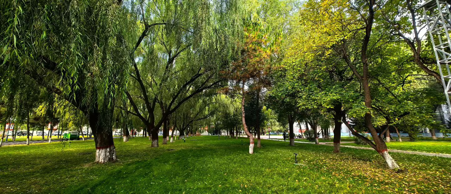 胜天堂际-胜天平台「成绩优美生涯」