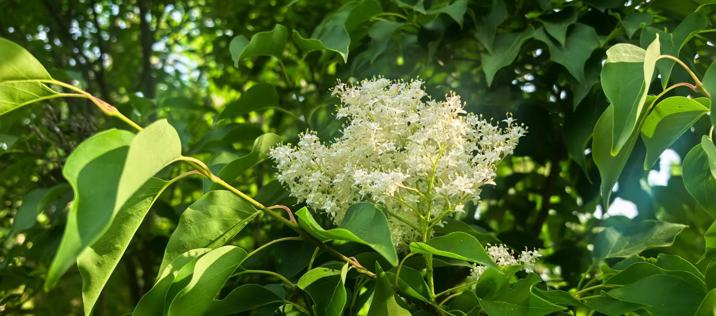 胜天堂际-胜天平台「成绩优美生涯」