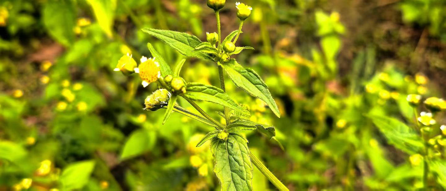 胜天堂际-胜天平台「成绩优美生涯」