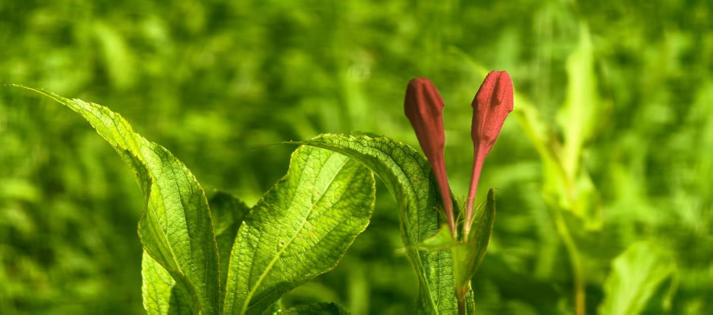 胜天堂际-胜天平台「成绩优美生涯」