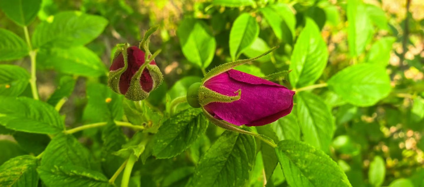 胜天堂际-胜天平台「成绩优美生涯」
