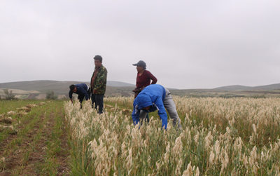 胜天堂际-胜天平台「成绩优美生涯」