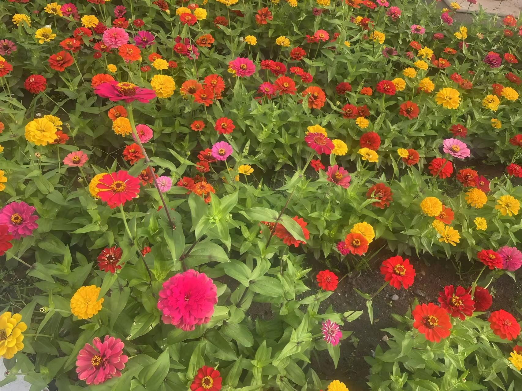 胜天堂际-胜天平台「成绩优美生涯」