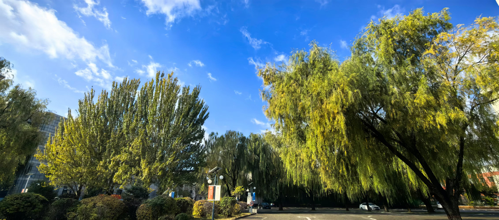 胜天堂际-胜天平台「成绩优美生涯」