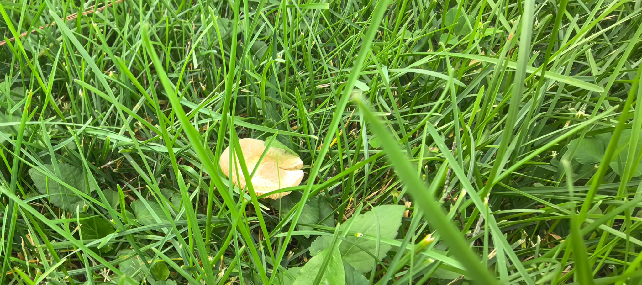 胜天堂际-胜天平台「成绩优美生涯」