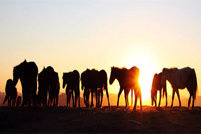 胜天堂际-胜天平台「成绩优美生涯」
