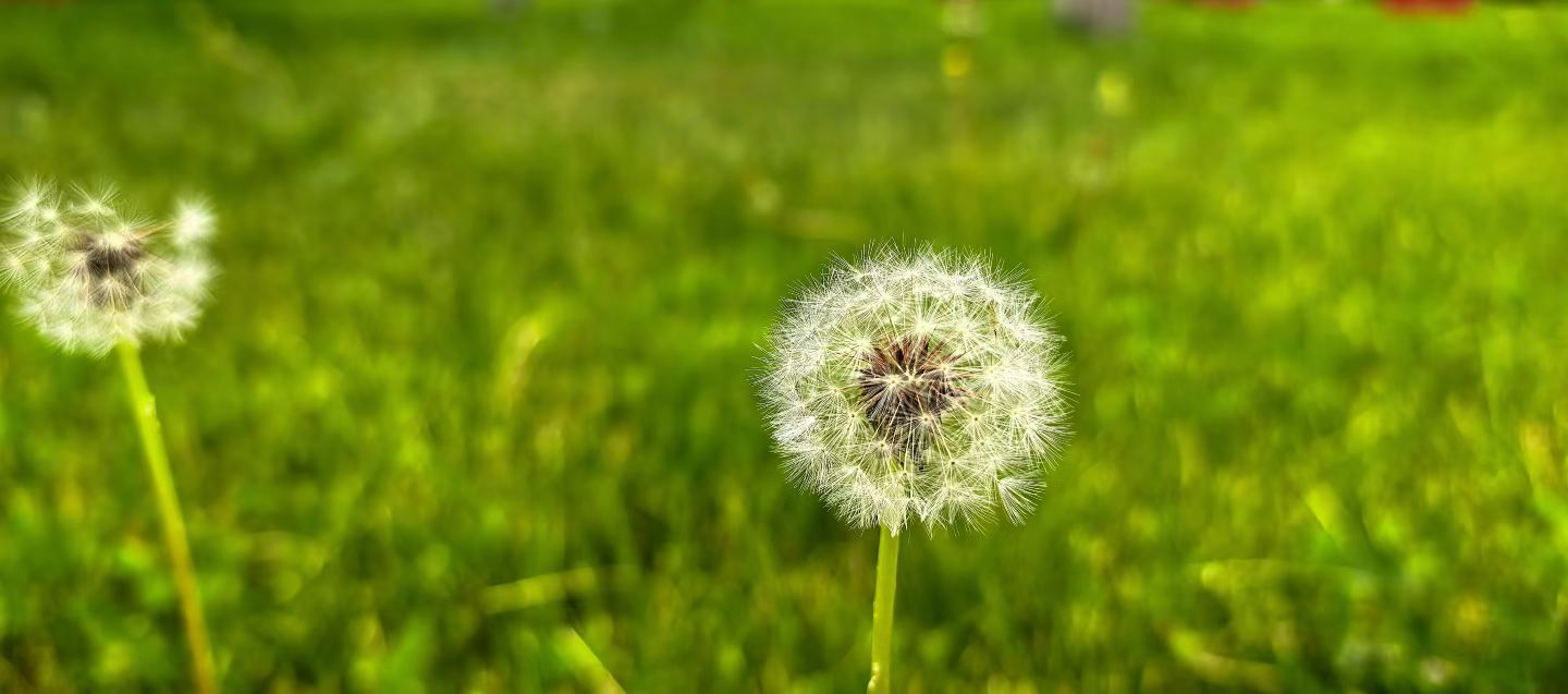 胜天堂际-胜天平台「成绩优美生涯」