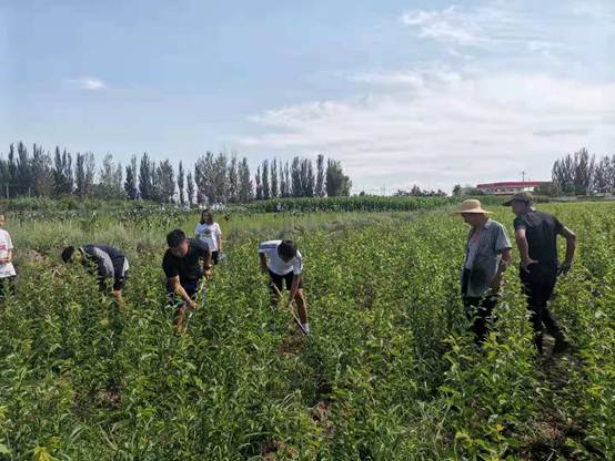 说明: D:\团总支事情\“三下乡”社会实践\2021年\0f79bae9e1b46e394f777fac08dbfbf.jpg