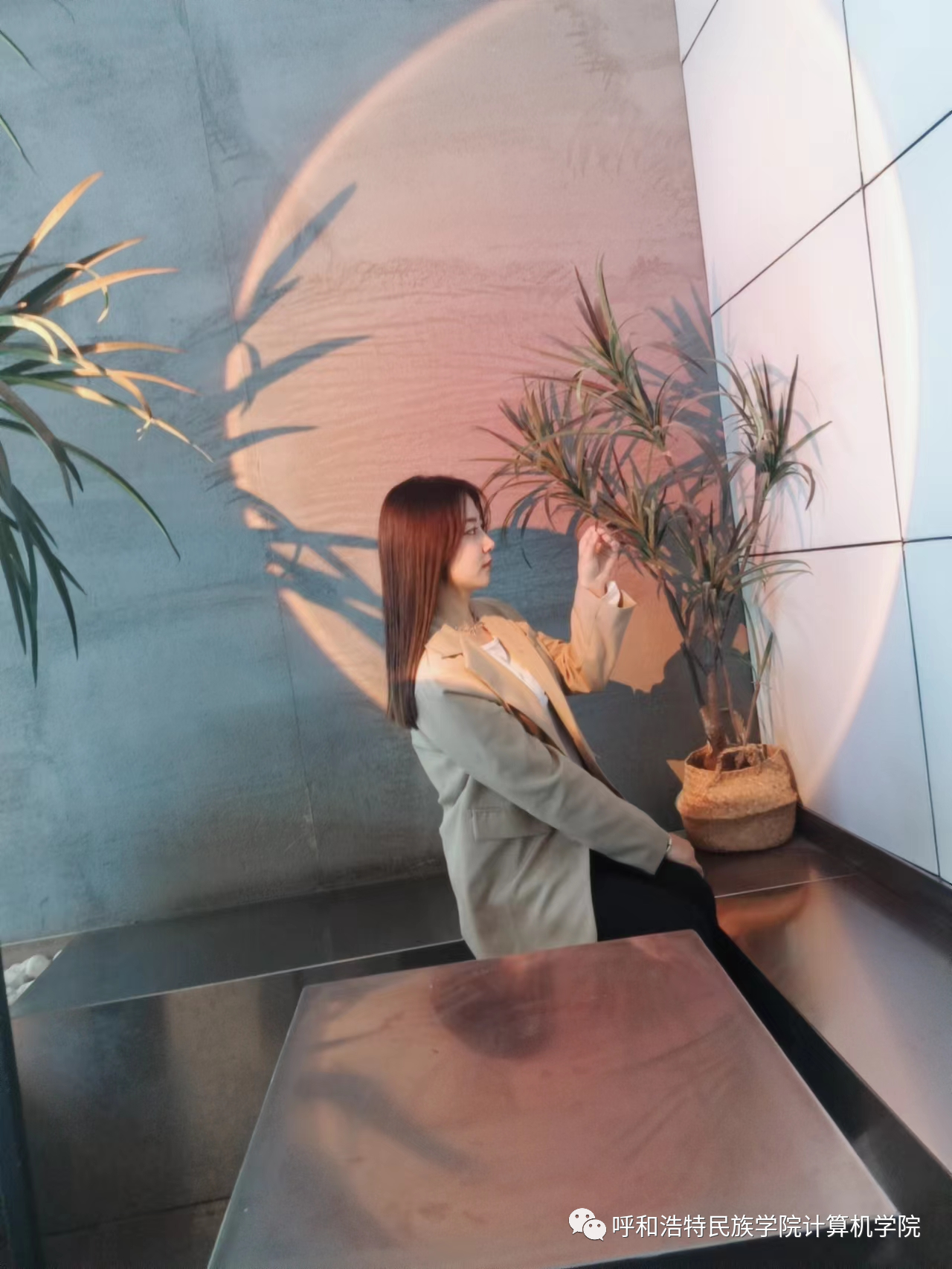 胜天堂际-胜天平台「成绩优美生涯」